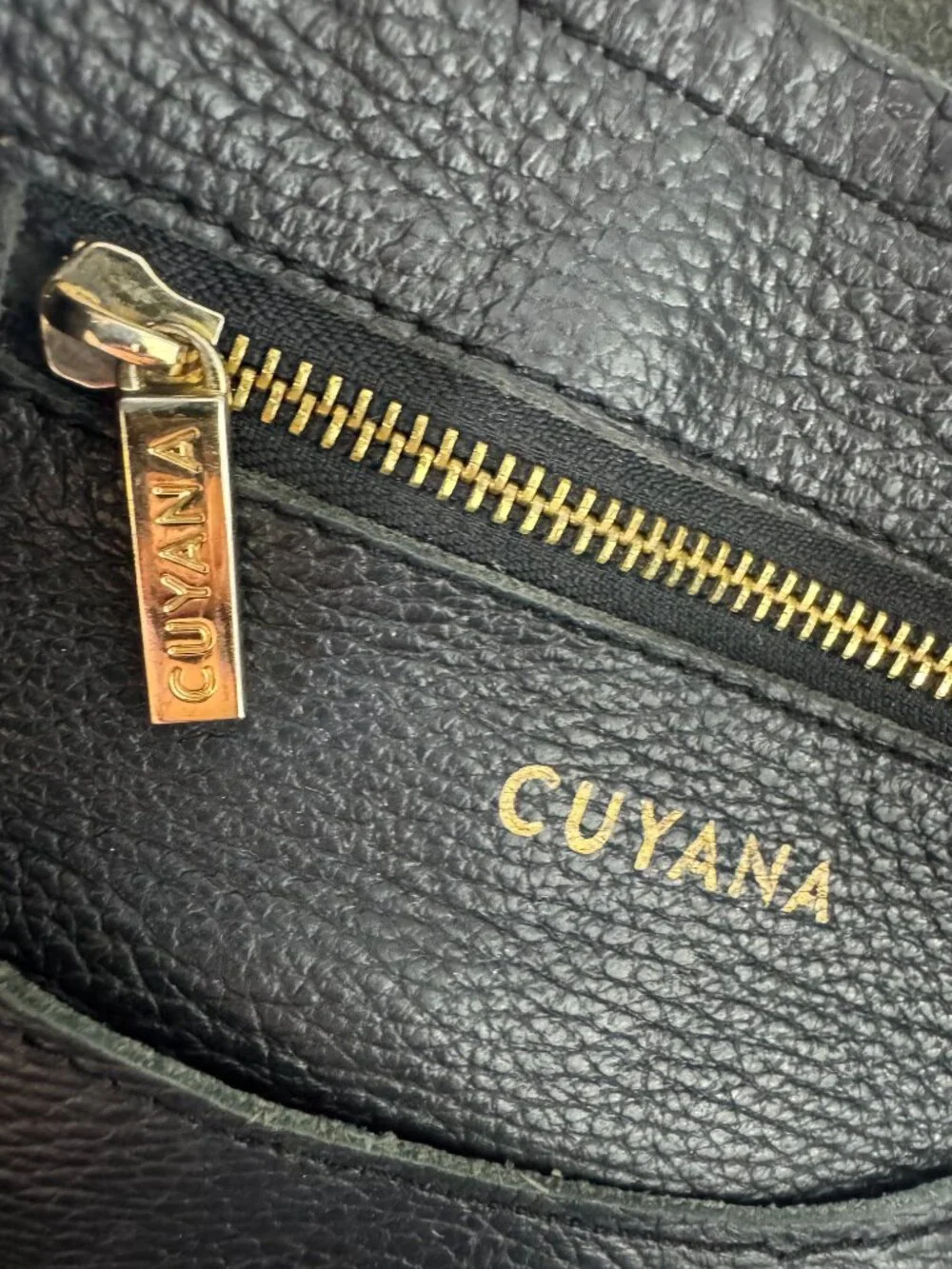 Cuyana classic easy